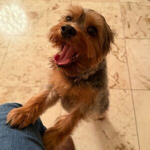 Meet your Posher, Scott